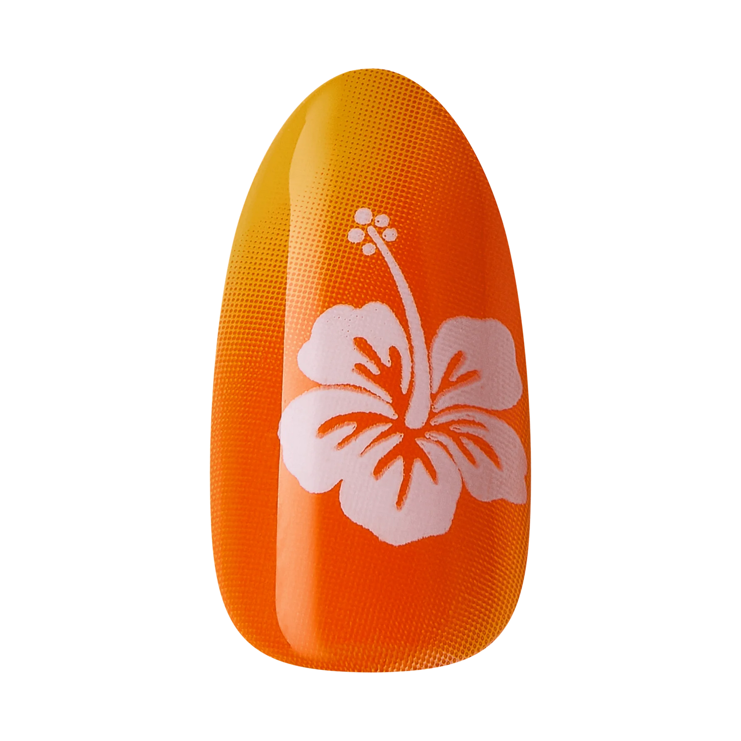 imPRESS by KISS nails Splashy (KISS-IM220X)